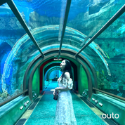 富國島瘋玩全島 5 日 ft. 越南美食 & 南島跳島 & 包車導覽 & 珍珠島樂園 & 珍珠野生動物園- 含稅網卡 (2 人成行)