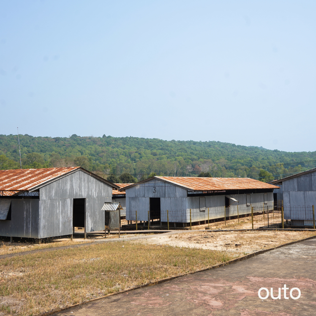 富國島瘋玩全島 5 日 ft. 越南美食 & 南島跳島 & 包車導覽 & 珍珠島樂園 & 珍珠野生動物園- 含稅網卡 (2 人成行)