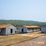 富國島瘋玩全島 5 日 ft. 越南美食 & 南島跳島 & 包車導覽 & 珍珠島樂園 & 珍珠野生動物園- 含稅網卡 (2 人成行)