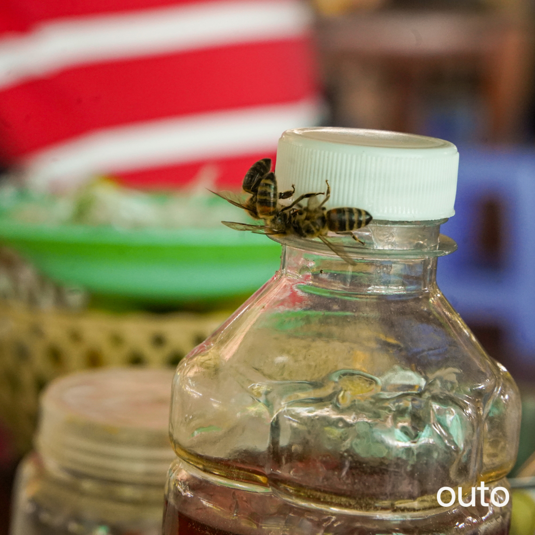 胡志明城市經典 5 日 ft. 古芝地道湄公河 - 含稅簽網卡 (2 人成行)