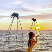 富國島瘋玩全島 5 日 ft. 越南美食 & 南島跳島 & 包車導覽 & 珍珠島樂園 & 珍珠野生動物園- 含稅網卡 (2 人成行)