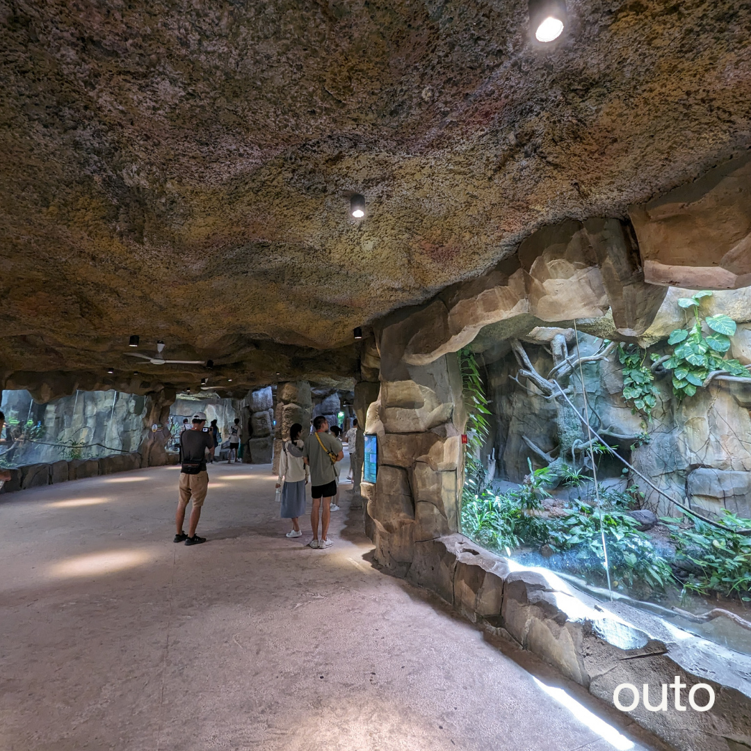 富國島瘋玩全島 5 日 ft. 越南美食 & 南島跳島 & 包車導覽 & 珍珠島樂園 & 珍珠野生動物園- 含稅網卡 (2 人成行)