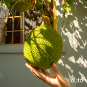 胡志明我全都要 6 日 ft. 古芝地道湄公河 - 含稅簽網卡 (2 人成行)