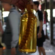 會安古城漁村冒險 ft. 峴港城市美食 5 日旅程 - 含稅簽網卡 (2人小團成行)