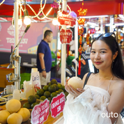 富國島瘋玩全島 5 日 ft. 越南美食 & 南島跳島 & 包車導覽 & 珍珠島樂園 & 珍珠野生動物園- 含稅網卡 (2 人成行)