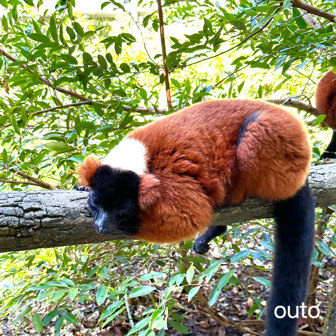 富國島瘋玩全島 5 日 ft. 越南美食 & 南島跳島 & 包車導覽 & 珍珠島樂園 & 珍珠野生動物園- 含稅網卡 (2 人成行)