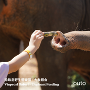 富國島瘋玩全島 5 日 ft. 越南美食 & 南島跳島 & 包車導覽 & 珍珠島樂園 & 珍珠野生動物園- 含稅網卡 (2 人成行)