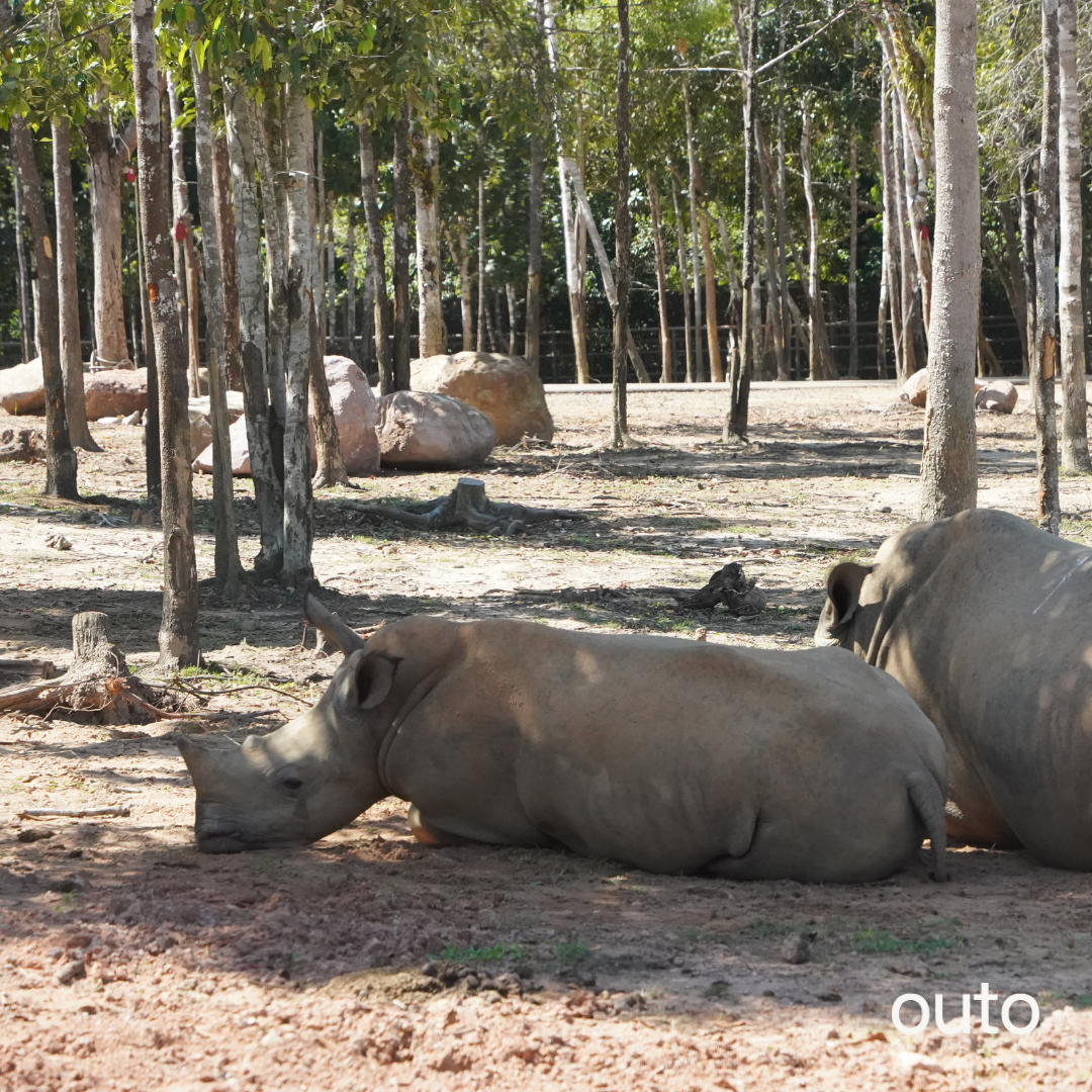 富國島瘋玩全島 5 日 ft. 越南美食 & 南島跳島 & 包車導覽 & 珍珠島樂園 & 珍珠野生動物園- 含稅網卡 (2 人成行)