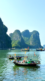 北越我全都要 ft. 河內老城 & 陸龍灣 & 沙壩番峰玻璃橋 & 下龍灣 9 日 - 含稅簽網卡 豪華火車版