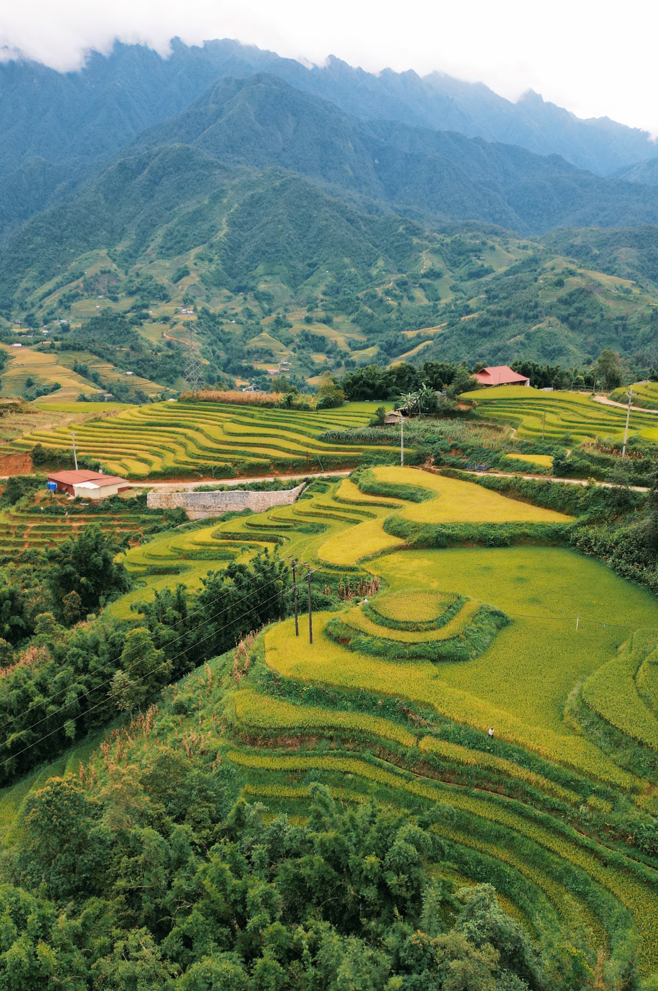Day 6:沙壩第三天行程,返回河內