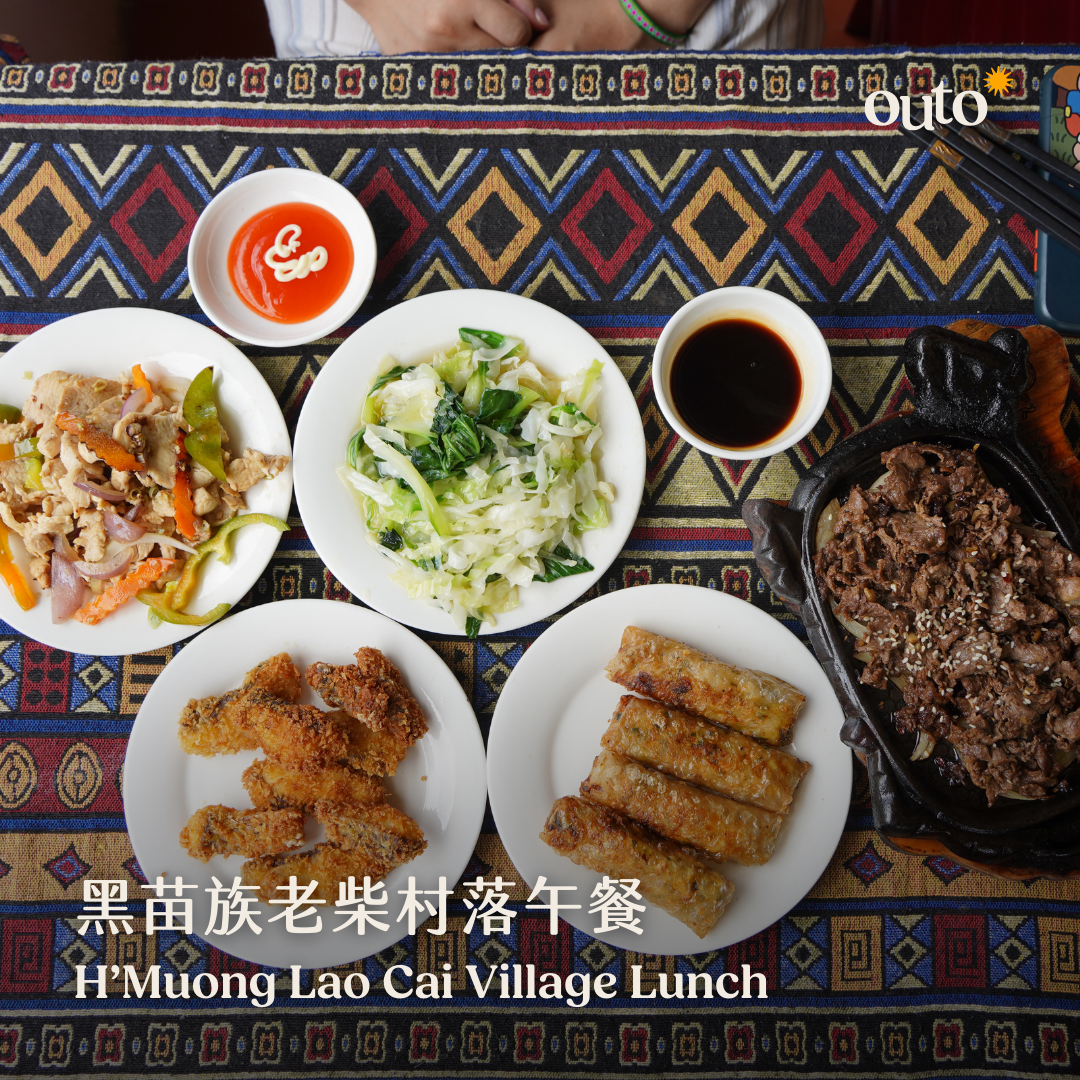 北越我全都要 ft. 河內老城 & 陸龍灣 & 沙壩番峰 & 下龍灣 8 日 - 含稅簽網卡 豪華火車版