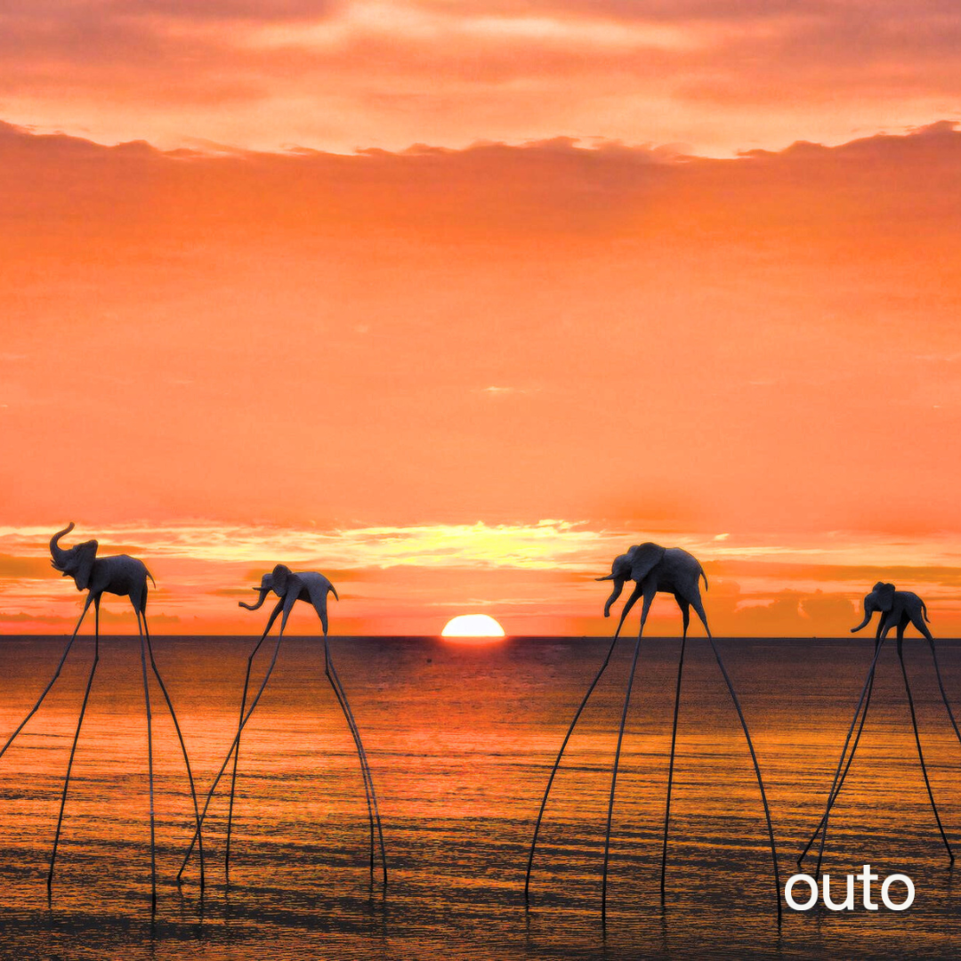 Day 2: 富國島單日專車行程