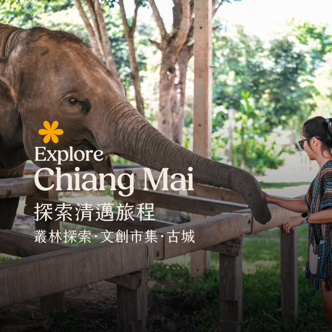 探索清邁旅遊：蘭納古城、大象保育體驗、叢林飛索、文創市集