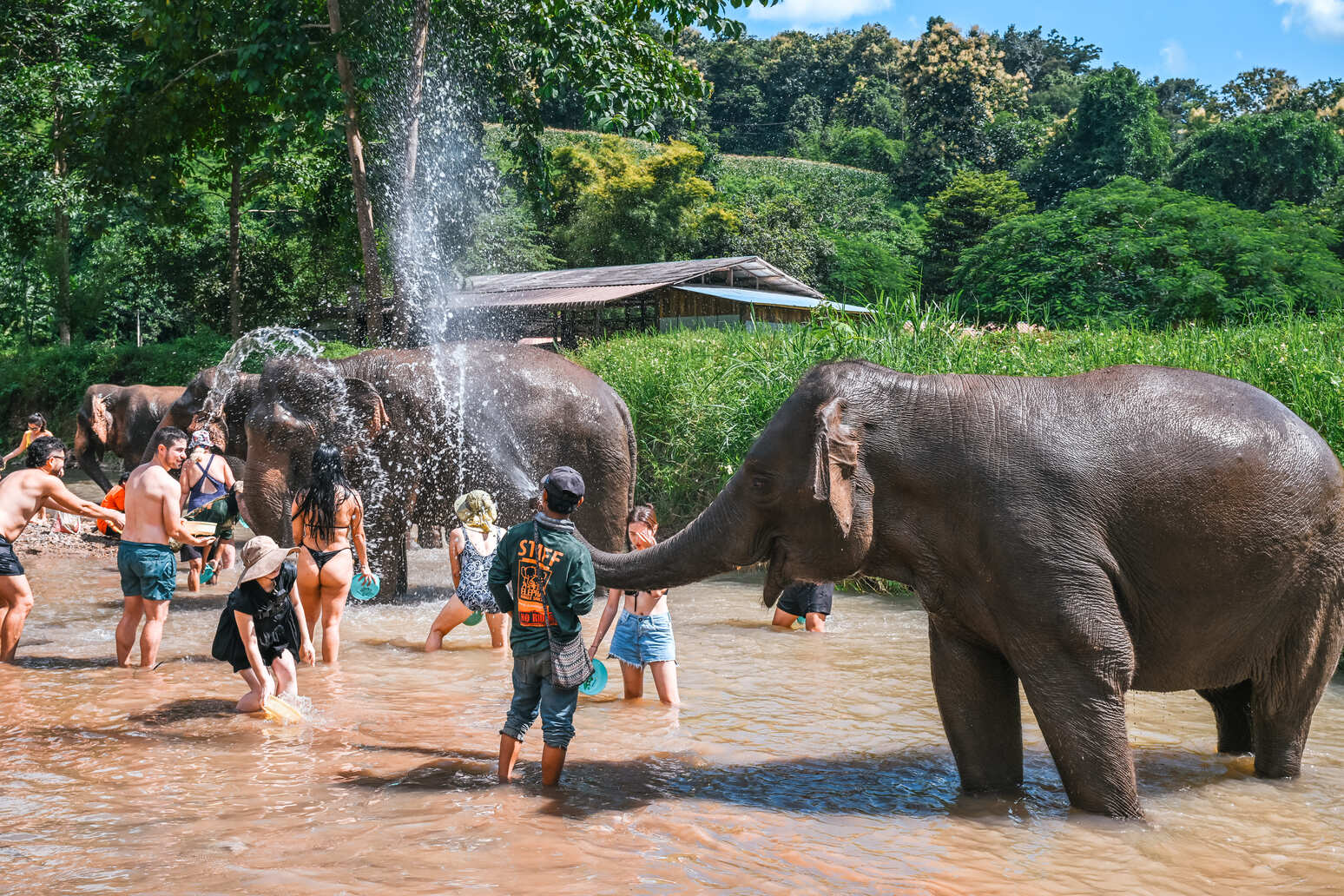 清邁包車漫遊 5 日 Ft. 朝聖雙龍寺金塔，逛市集尋寶 - 含稅簽網卡