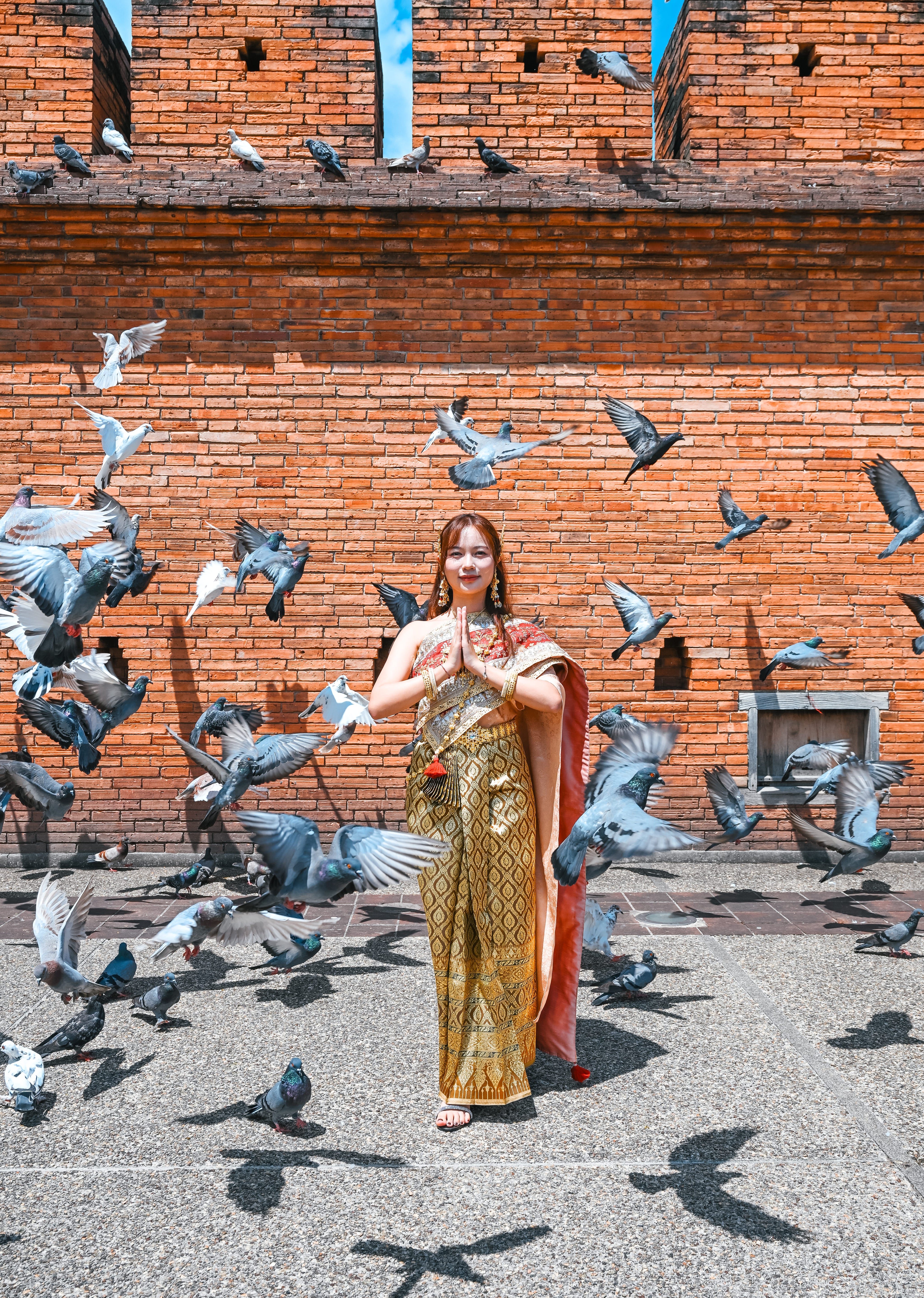 塔佩門與鴿子漫步