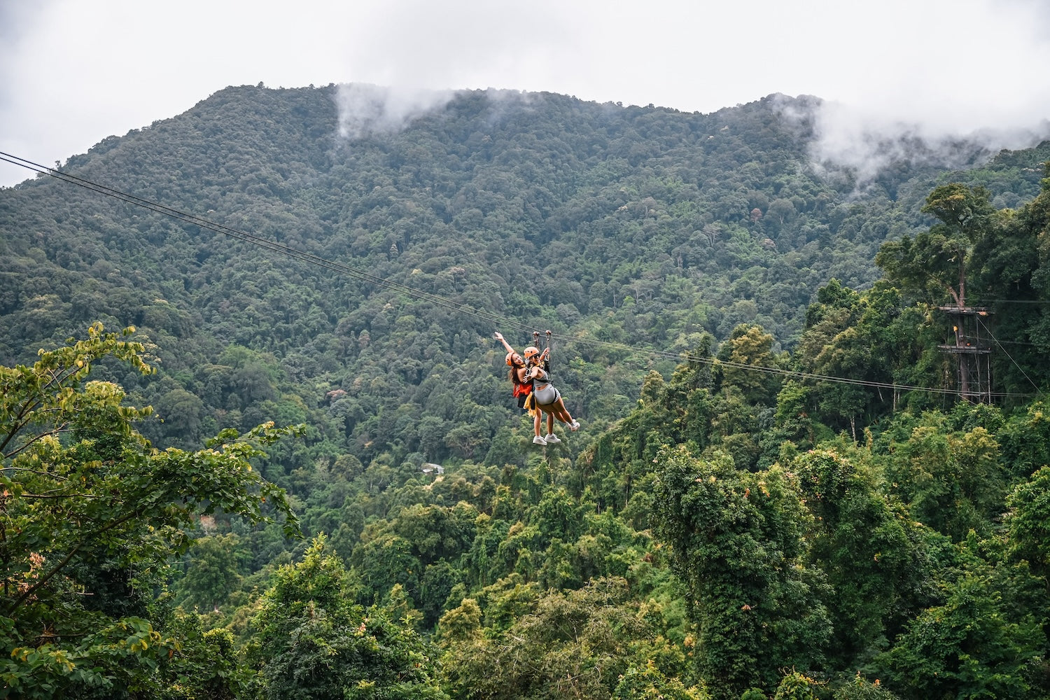 天際線叢林飛索