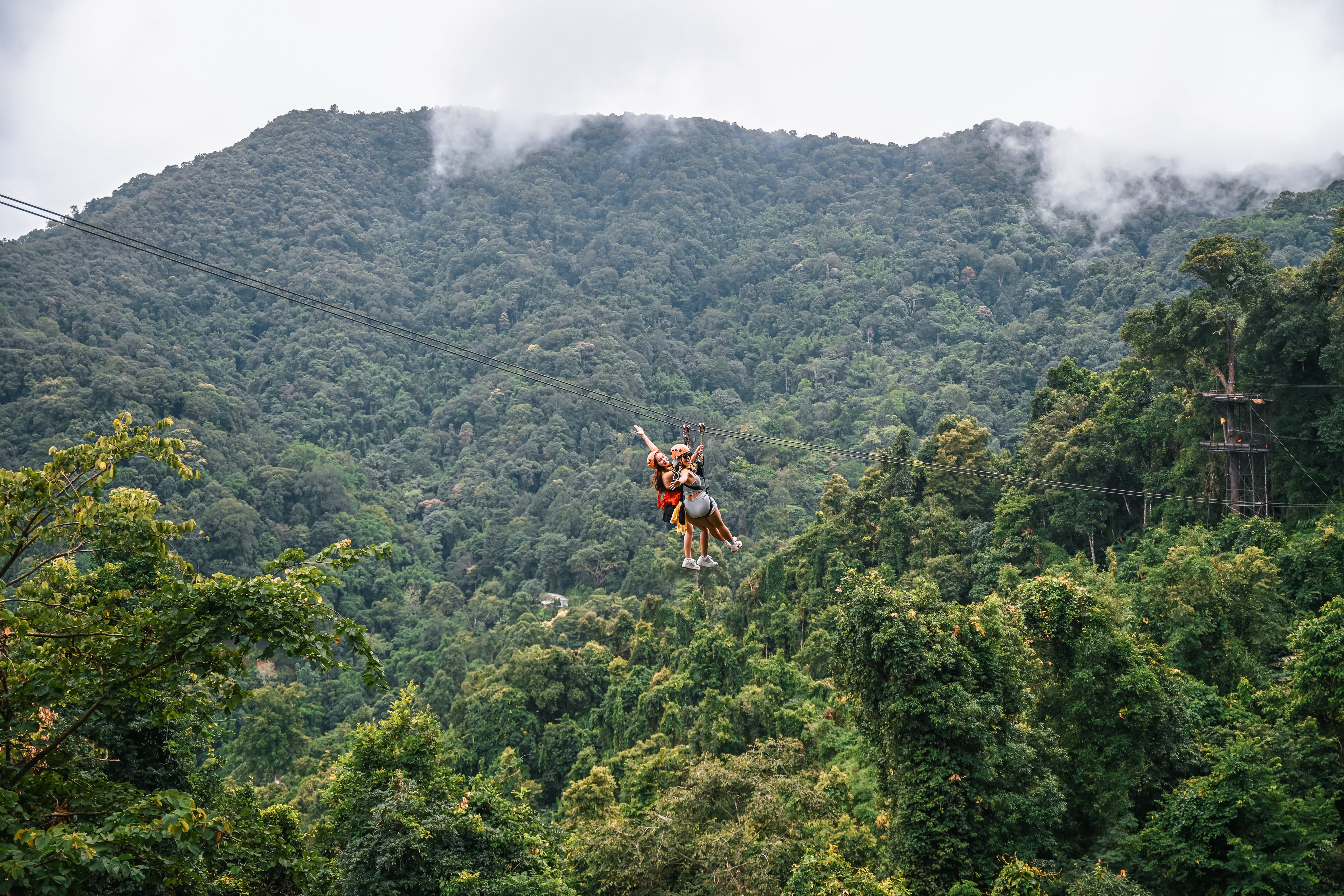清邁包車漫遊 5 日 Ft. 朝聖雙龍寺金塔，逛市集尋寶 - 含稅簽網卡