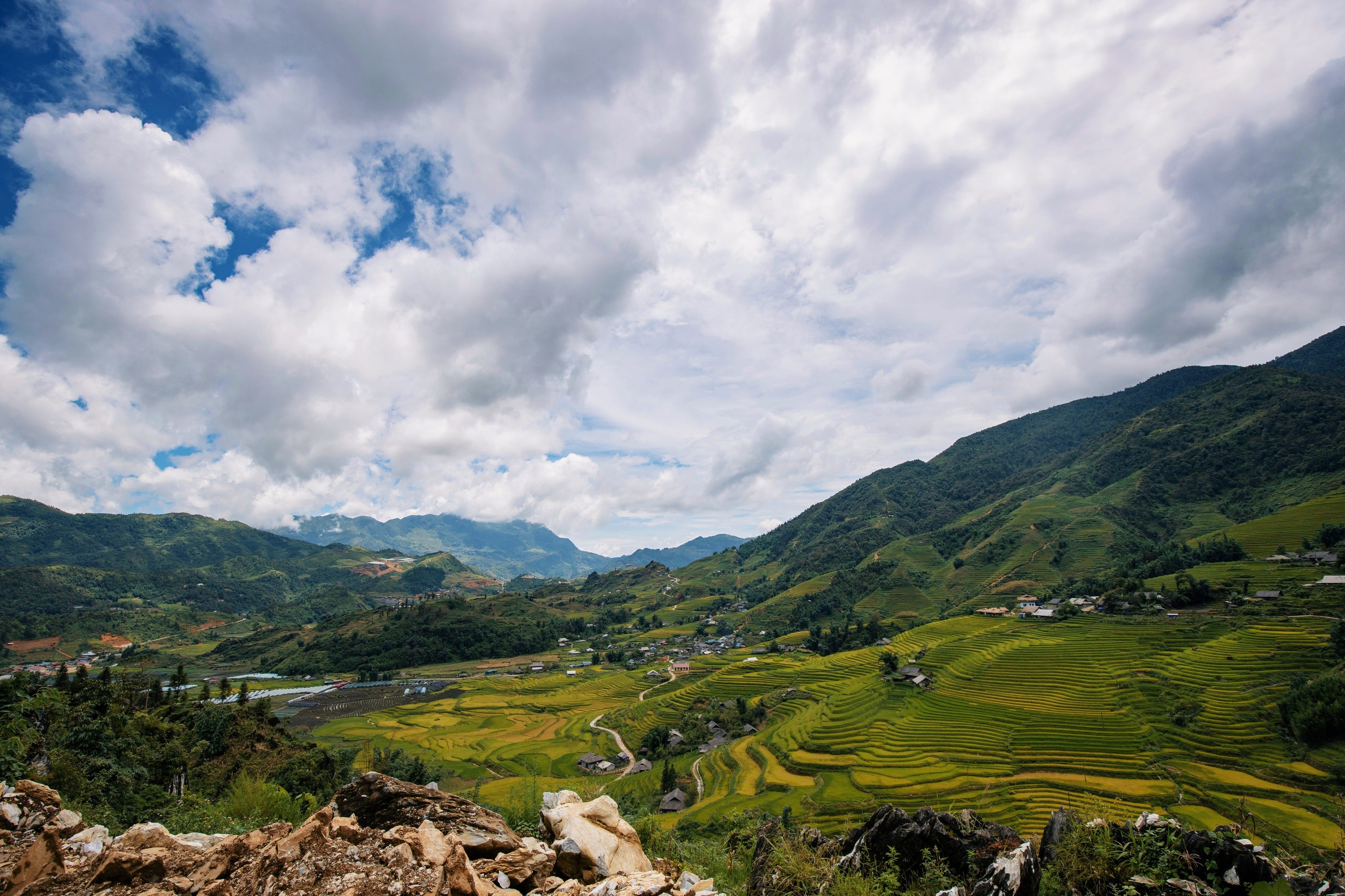 North_Vietnam_Sapa_Patty_Field_View.jpg