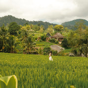 峇里島 | 瀑布火山深度探索 6 日 瀑布淨化・火山日出・沙灘俱樂部 - 含稅簽網卡