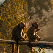 峇里島 × 佩尼達島深度探索 8日｜瀑布淨化・火山日出・包船浮淺・懸崖火舞 - 含稅簽網卡