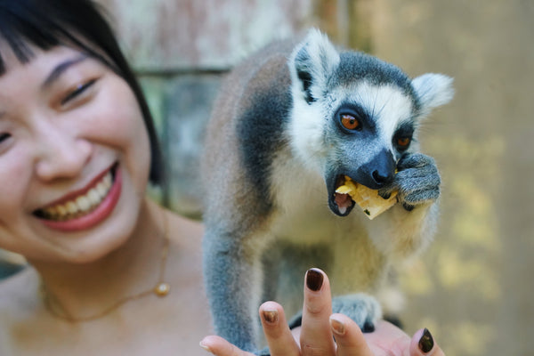 Vinpearl Safari 野生動物園門票