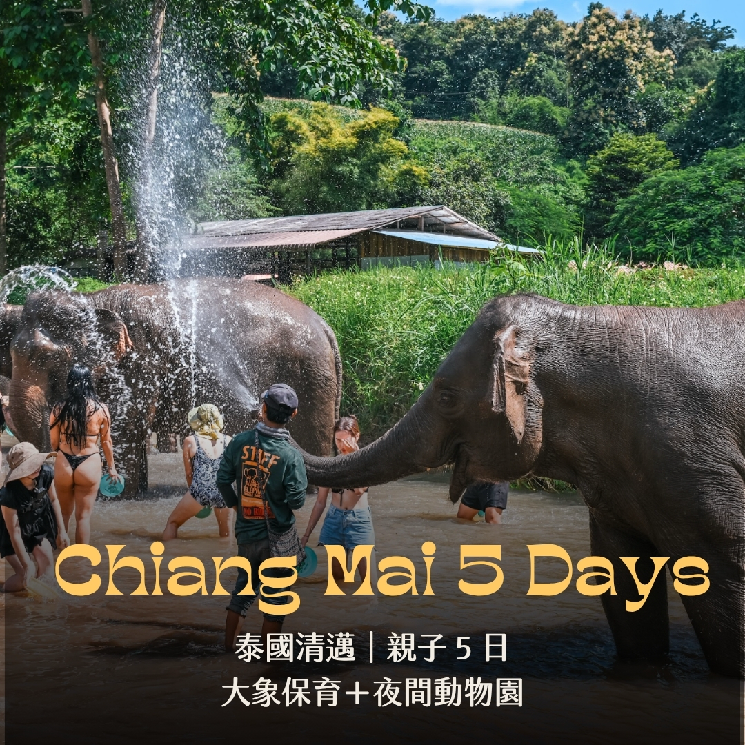 泰國清邁親子 5 日｜大象保育＋夜間動物園