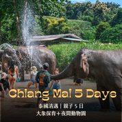 泰國清邁親子 5 日｜大象保育＋夜間動物園