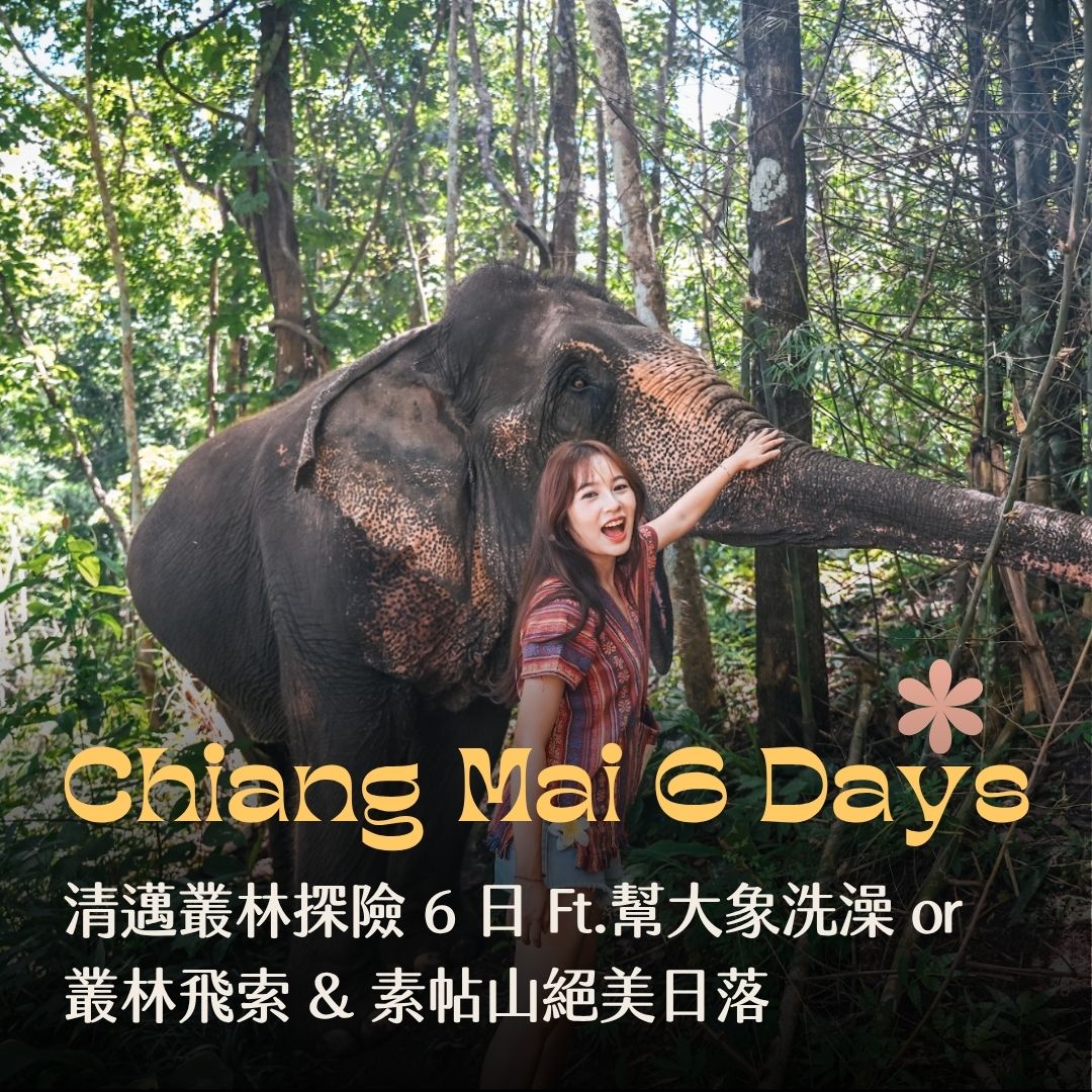 清邁叢林大象體驗蜜月行程