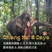 清邁叢林探險 6 日 Ft.幫大象洗澡 or 叢林飛索 & 素帖山絕美日落 - 含稅高速網卡